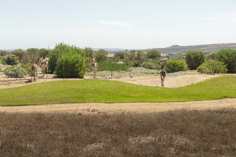 3 Bedroom Property for Sale in Langebaan Country Estate Western Cape